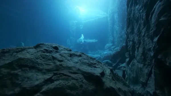 The Dive