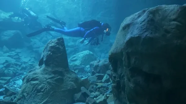 The Dive
