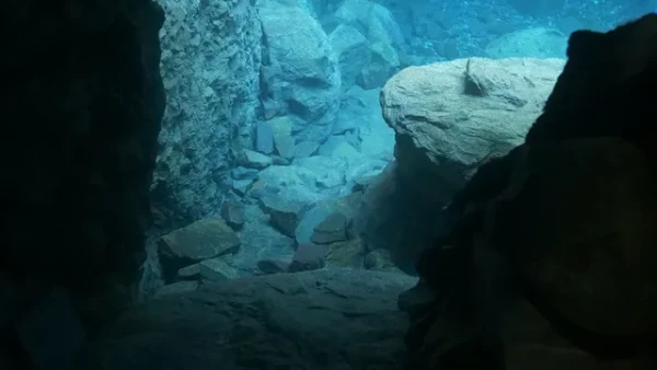 The Dive
